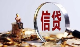 成都10个人小额贷款-成都10私借户不考察-成都10民间借贷无抵押