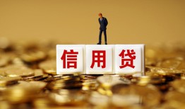 成都10哪有个人借贷-成都10小额贷款公司-成都10私借空放免费上门