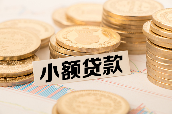 成都10身份证贷款平台